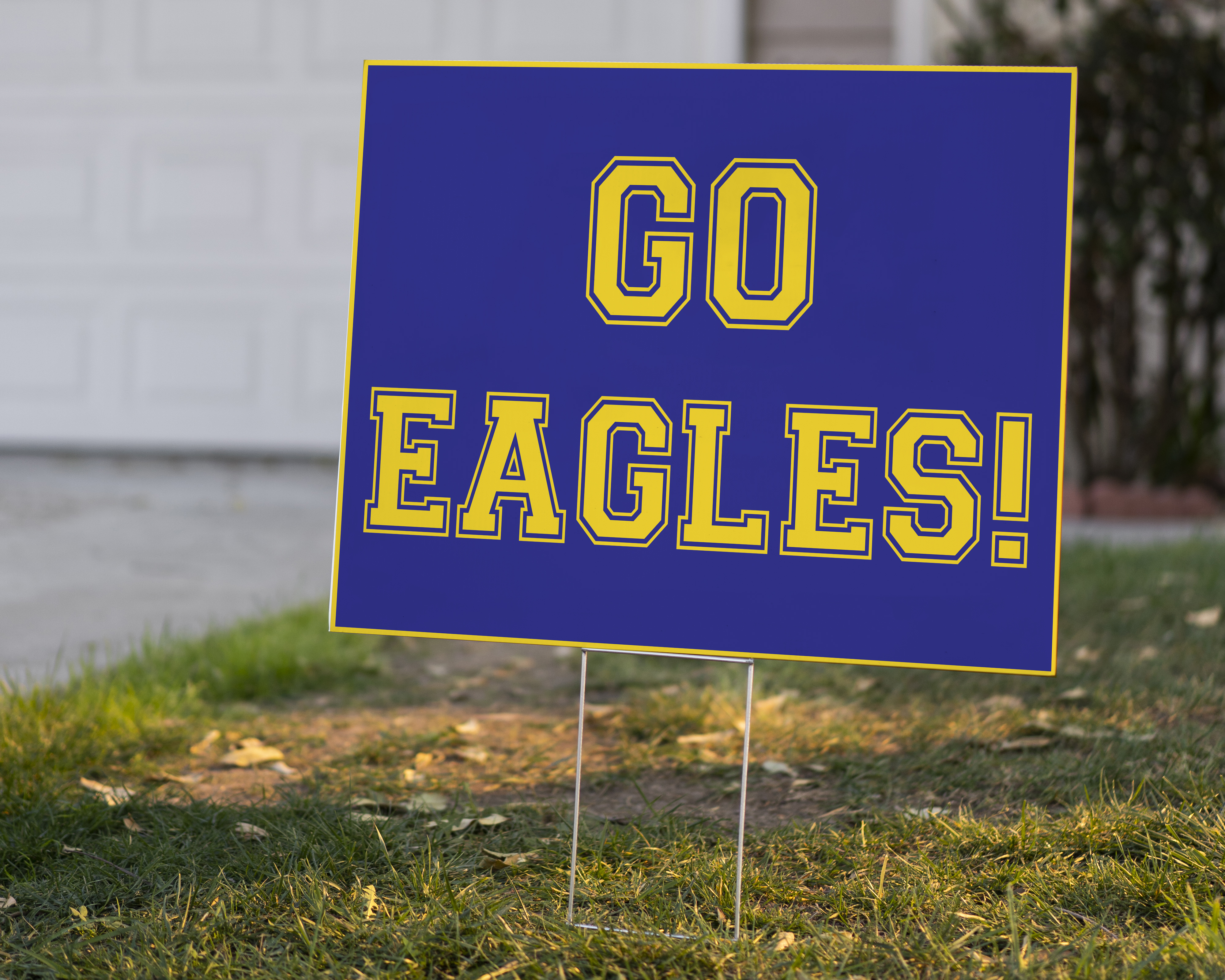 Real Estate / Yard / Campaign / Site Signs